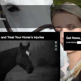 Equine Magnotherapy