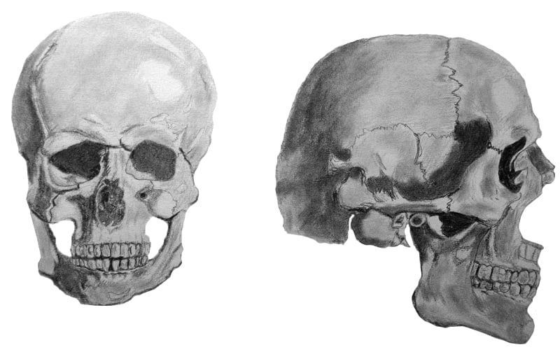 skulls