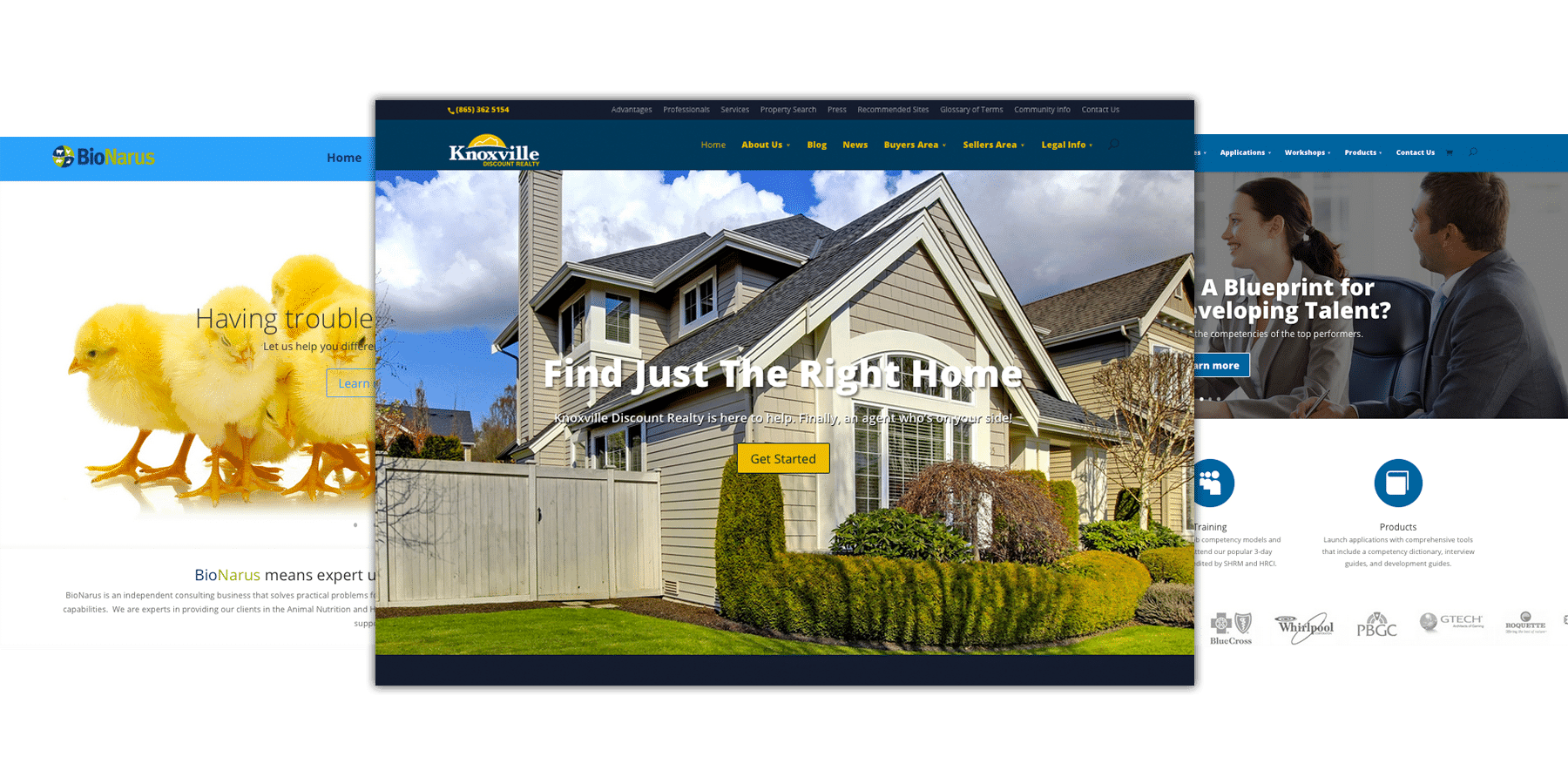  Design Knoxville Businesses & Creating Their Online Presence