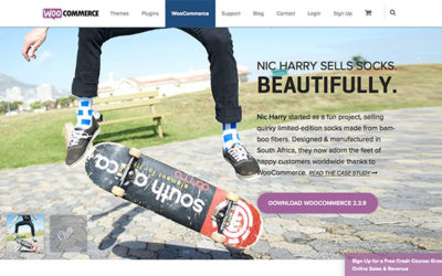 Why You Should Use WooCommerce To Build Your Online Store